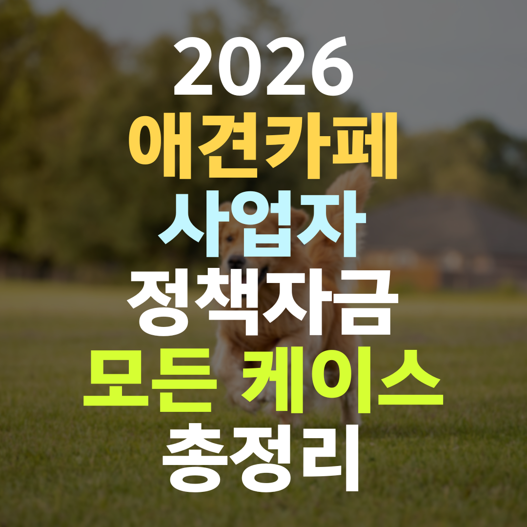 애견카페 사업자 정책자금, 이렇게 정리해야 한도가 열립니다