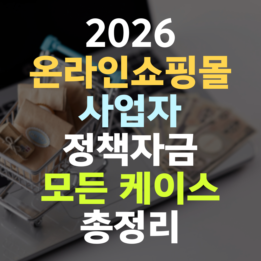 온라인쇼핑몰 사장님, 매출 데이터라는 무기가 있는데 왜 한도가 작게 나올까
