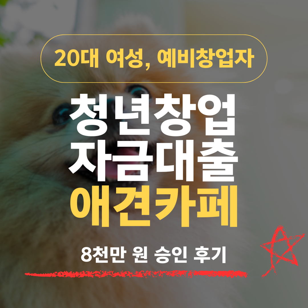 알바 2년·자격증 없는 28살이 애견카페 창업에 중진공 8천 받은 이유
