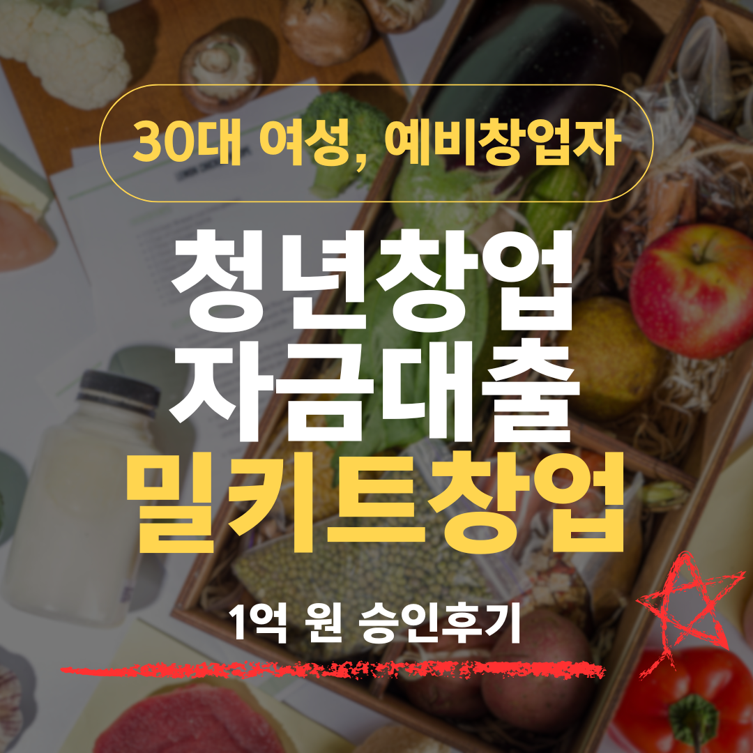5년 경력단절 신용 743 35세 주부, 다이어트 밀키트로 신보 1억 받은 방법
