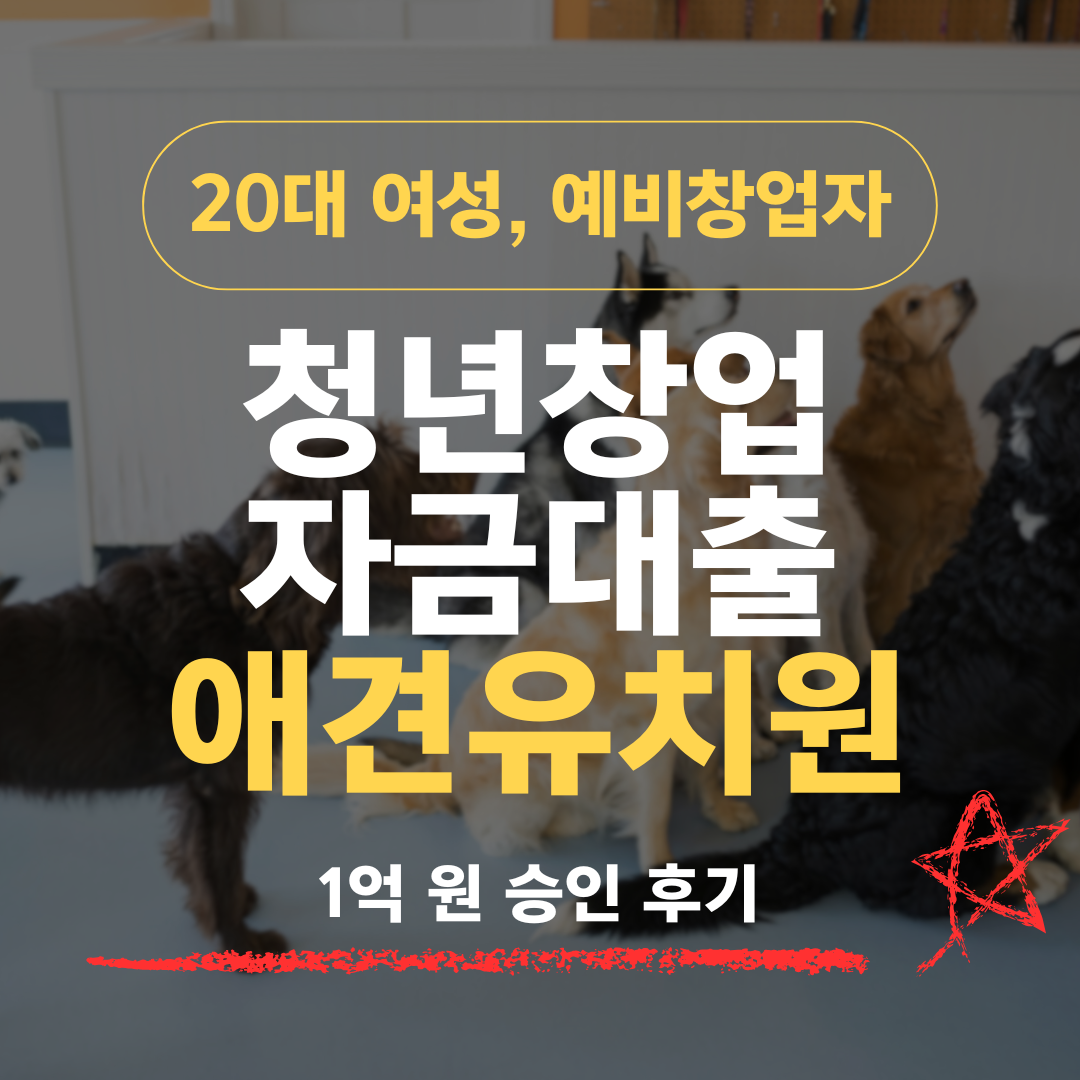 강아지 돌봄에 무슨 기술" 26세, 보호자 요구사항 데이터로 기보 1억 받은 방법