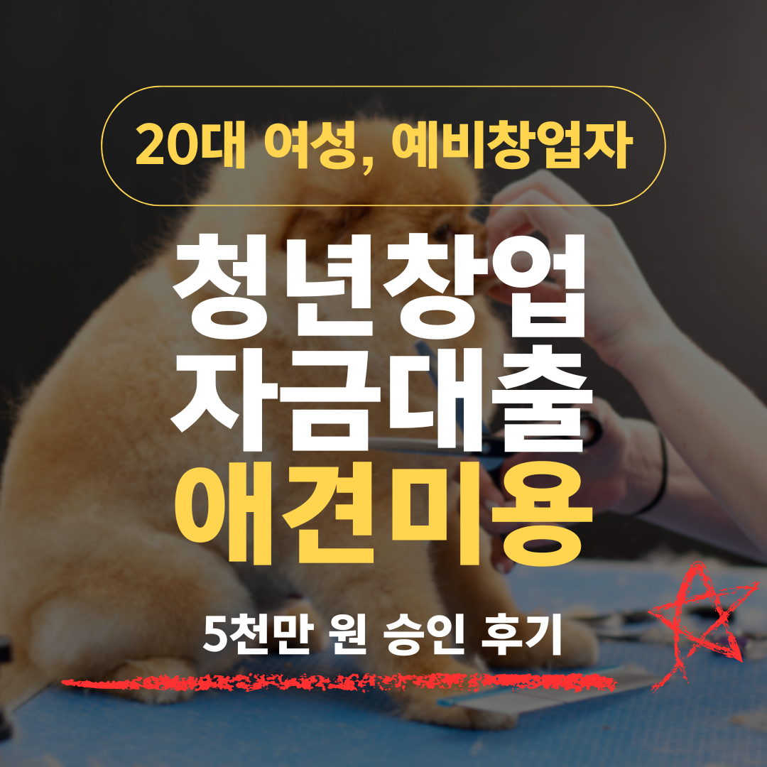 22세 신용 715 애견미용 2년차, 견종별 스타일북으로 기보 5천 받은 방법